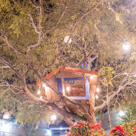 Hotel Casa Del Arbol Бернал Екстериор снимка