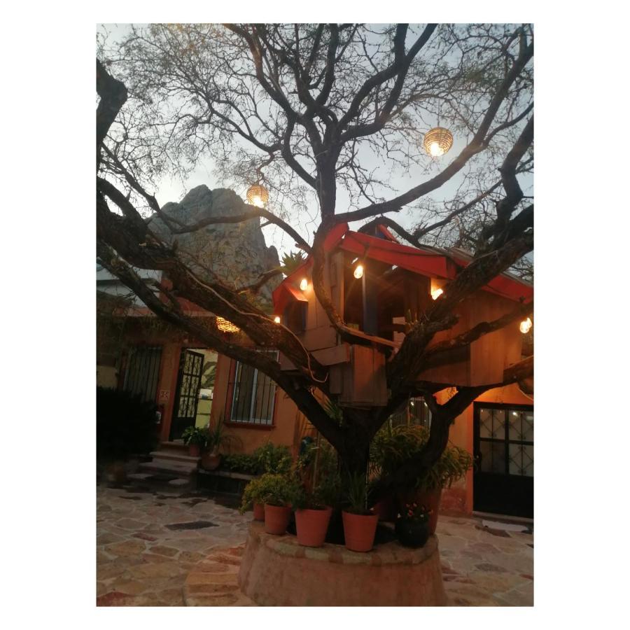 Hotel Casa Del Arbol Бернал Екстериор снимка